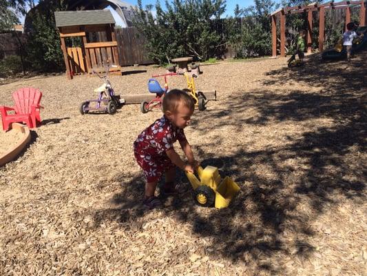 This little guy can't wait till he's big enough for Big Tree.