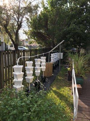 Solar Powers Self sustaining hydroponic gardening system