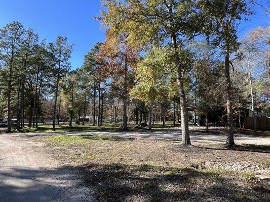 Trees throughout the park make it peaceful and provide lots of shade in the warmer months