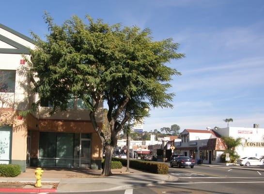 On the west end of La Mesa Boulevard.