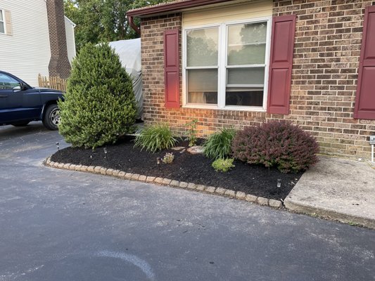 Mulched garden bed