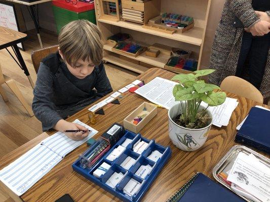 Sentence building w/ nouns, adjectives, verbs, etc. Montessori symbols (parts of speech) enable emergent readers to identify word functions.