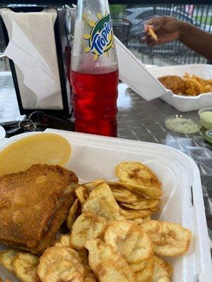 2 piece fried chicken combo with plantain