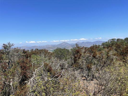 Mountain view from the trail