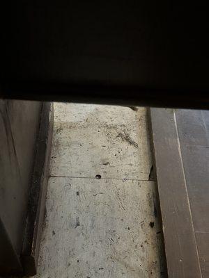 Floor in the chapel covered in dirt and other filth