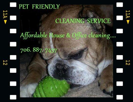 We are pet friendly