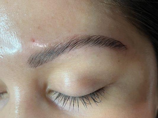 Brow Lamination/Tint