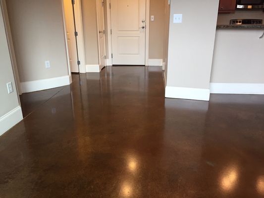 Auto Scrubbing and Polished stained concrete floor