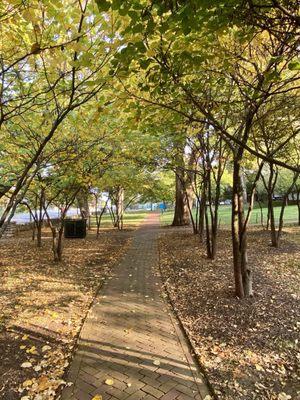 Shaded walkway to museum