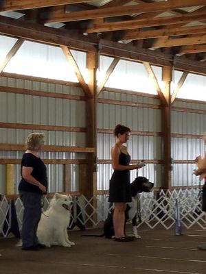 My Great Dane and I at a dog show -- thanks to the training of Bob Martin.