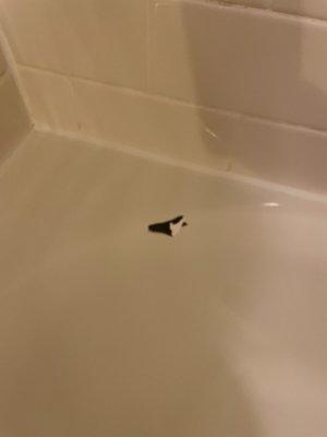 Random piece of paper in our tub - when was it last cleaned?