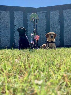 Libby and Lucy pay their respects at the Traveling Vietnam Memorial Wall at the Heros' Air Show in Austin, TX