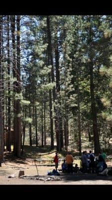 8th grade annual field trip to Sequoia Natural Park