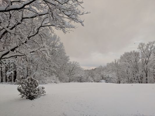 Scenic winter view from our living room