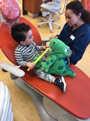 Learning how to brush the dinasours teeth