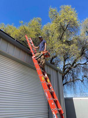 Gutter cleaning