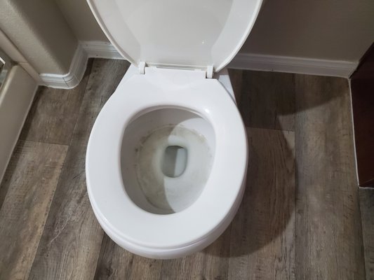 Toilets were never cleaned, all three are like this