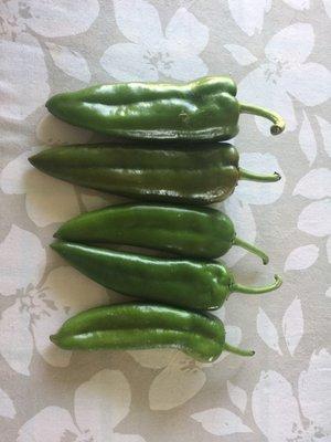 Anaheim peppers,  Some have square shoulders as if pollinated by poblano peppers.  Only 1.00 each