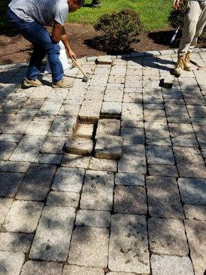 Paver Driveways