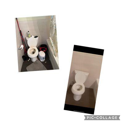 Toilet cleaner before x after