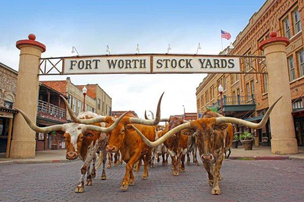 Cowboy Cuisine from the Fort Worth Stockyards