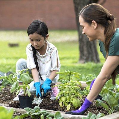 The Woodlands Montessori