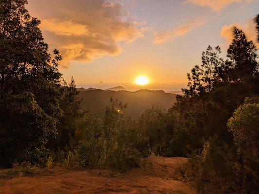 Wiliwilinui Ridge Trail