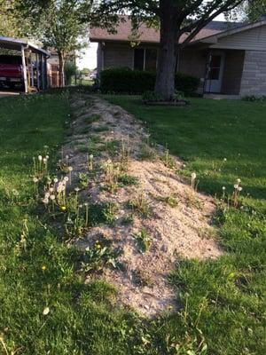 The mound of dirt in the front  yard that I have to level myself now. This doesn't include the backyard too.