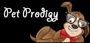 Pet Prodigy