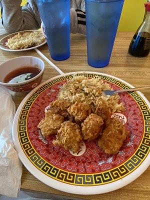 Cashew Chicken with sweet and sour sauce on the side and fried rice!