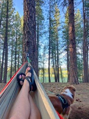 Hammocking with views of the reservoir and pine trees