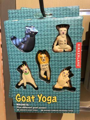 Goat yoga magnets