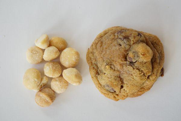 Chocolate Chip Macadamia Nut