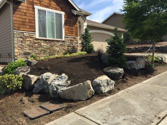 Rocks delivered and placed by Saylor, Groco (type of soil) amended to premote lawn growth