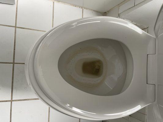 Dirty toilet bowl