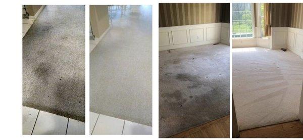 Charly’s Carpet Cleaning Services