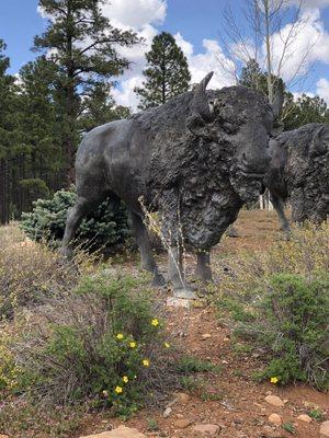 Bison statues at entrance.