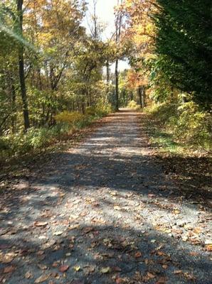 Beautiful fall day at the Ma and Pa trail!