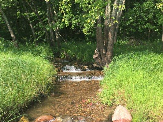 Springs on the property, joining the St. Croix River