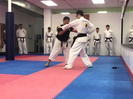 Black belt test 2019