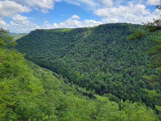 View from Colton Point overlook