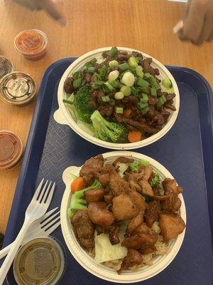 Regular beef bowl and mini chicken bowl