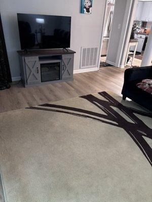 Flooring in living room kitchen and dining area