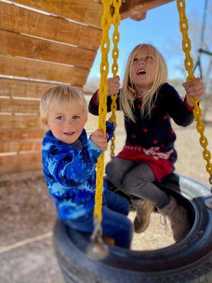 Tire swing