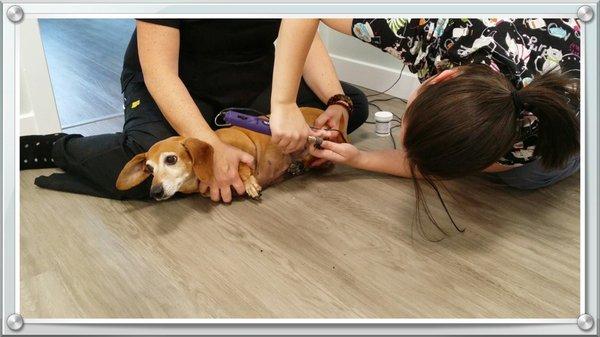 Our awesome Vet Techs taking great care at filing down clipped doggy nails :)