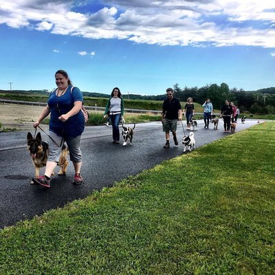 Pack Walk