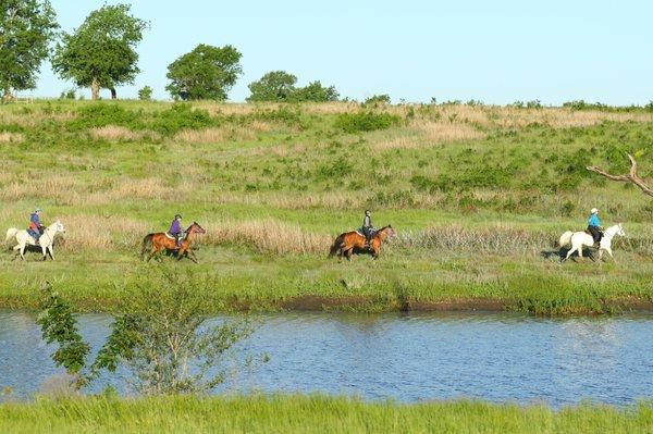 Endurance riders!