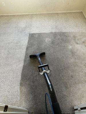 Carpet cleaning