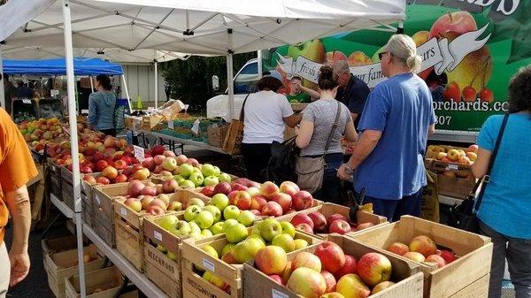 over 20 varieties of apples!