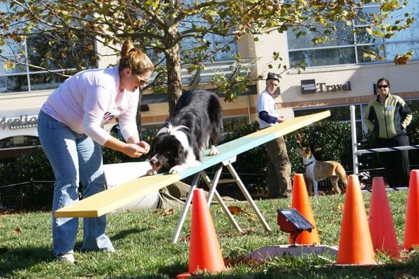 Agility Training!